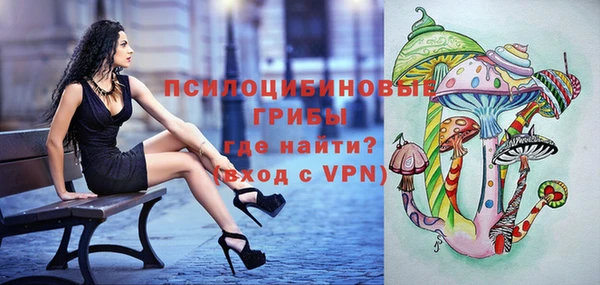 МДПВ Магадан