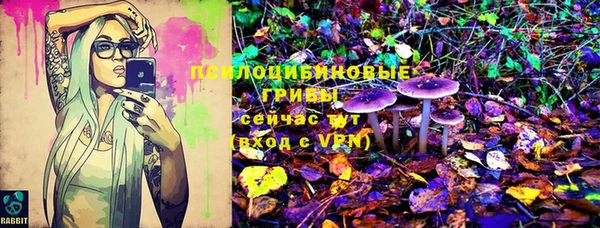 Альфа ПВП Магас