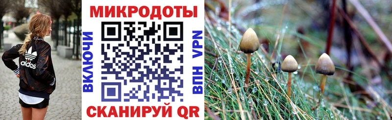 Псилоцибиновые грибы GOLDEN TEACHER  Купить закладки  Кропоткин 